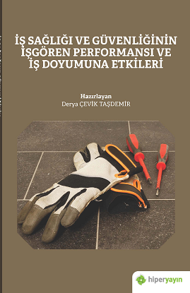 İş Sağlığı ve Güvenliğinin İşgören Performansı ve İş Doyumuna Etkileri